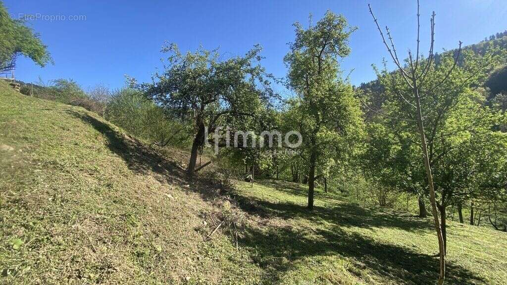 Terrain constructible 13 ares - photo 5