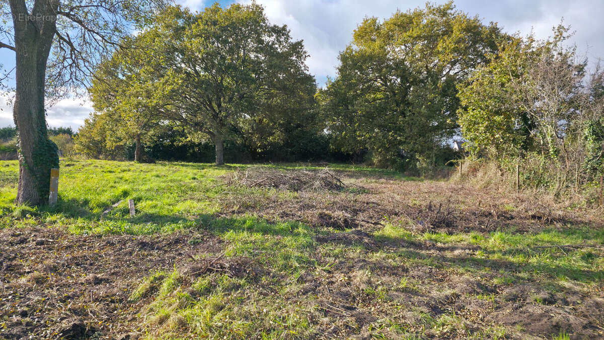 Terrain à SAINT-JOACHIM