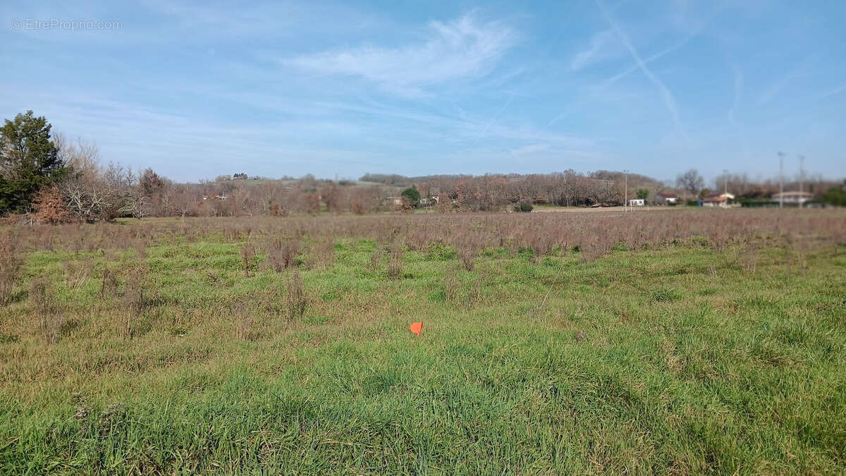 Terrain à LAFRANCAISE