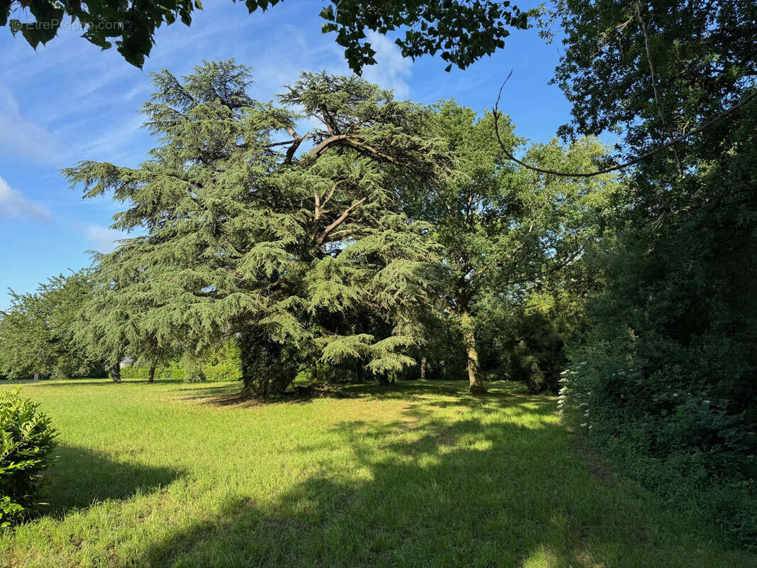 Maison 253 m² à Breuil-Barret  - photo 8