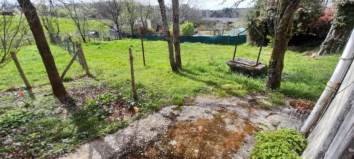 Le jadrin et puits - Maison à LA COQUILLE