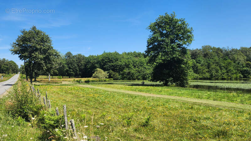 Terrain à ORADOUR-SUR-GLANE