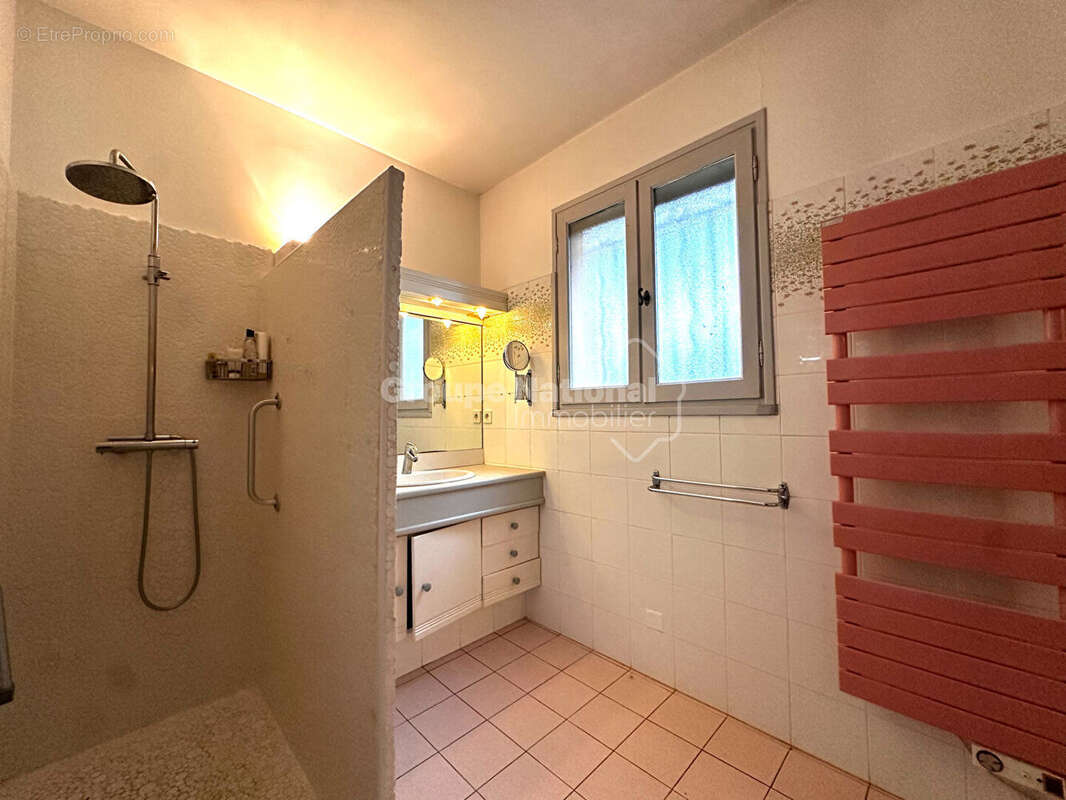 Maison à VILLEVIEILLE