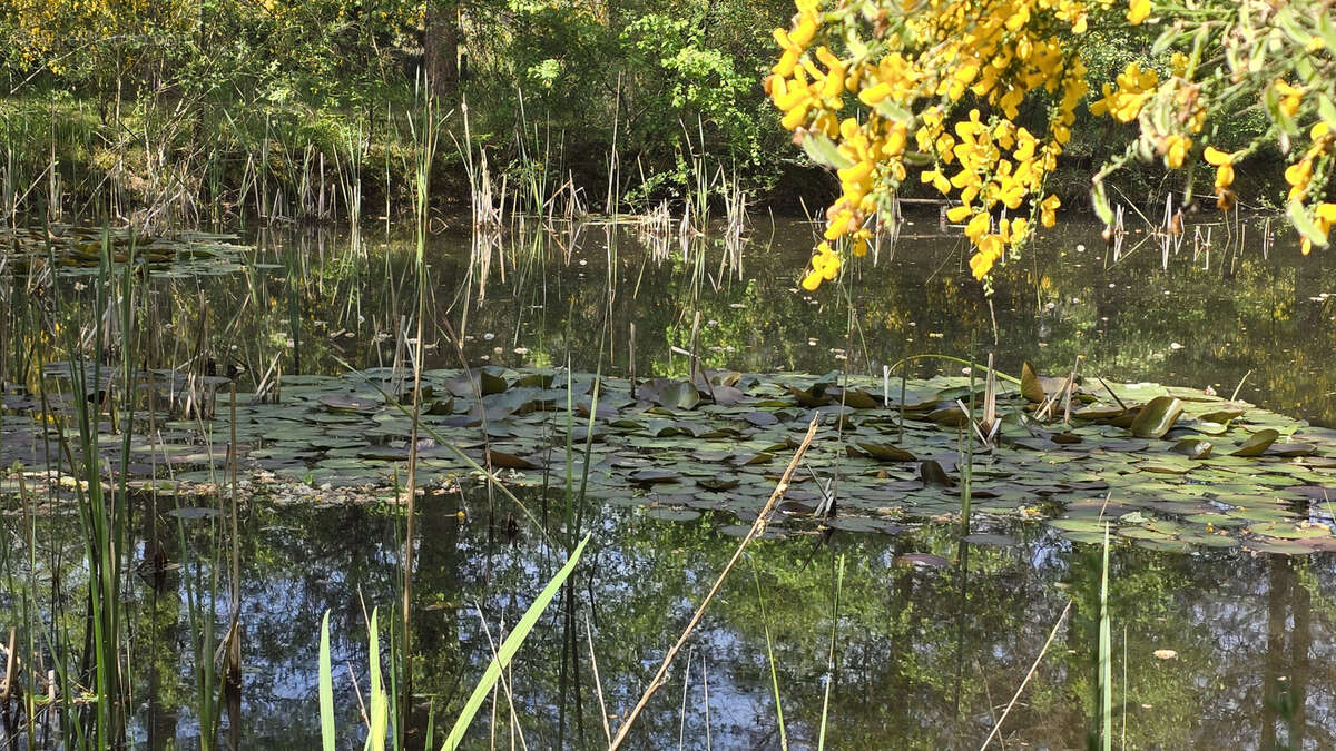 Maison à PRUNIERS-EN-SOLOGNE
