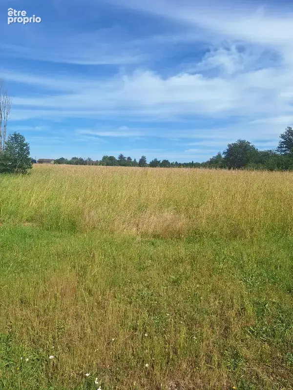 Terrain 600 m² à vendre à Sainte-Livrade (31530) - photo 2