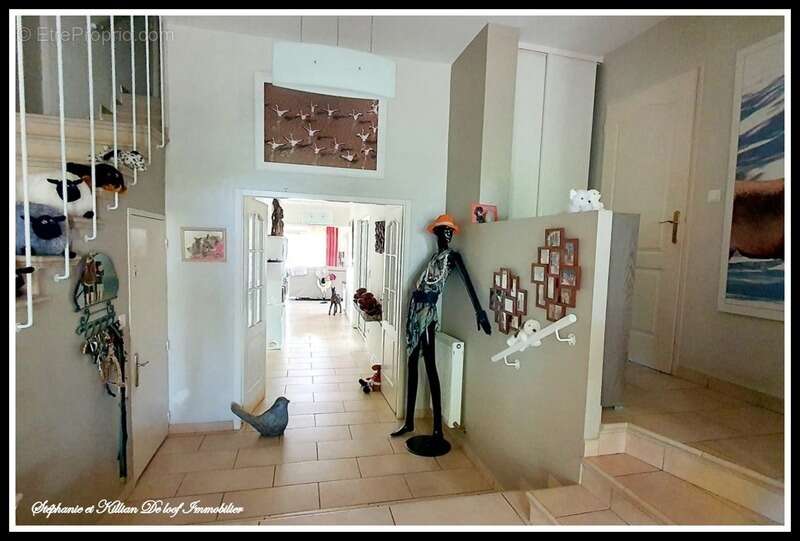Villa de luxe à vendre 8 pièces LE GRAU D'AGDE de 326 m2 avec sous-sol de 150m2 (34) - photo 4
