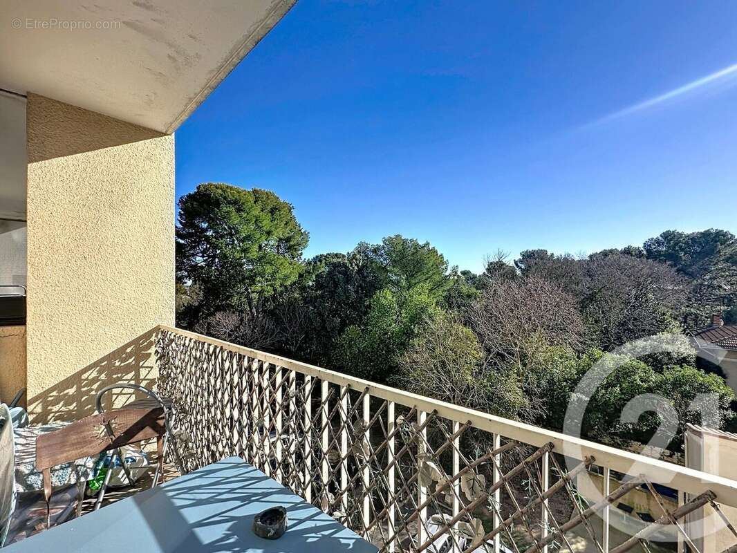 Photo 2 - Appartement à MONTPELLIER