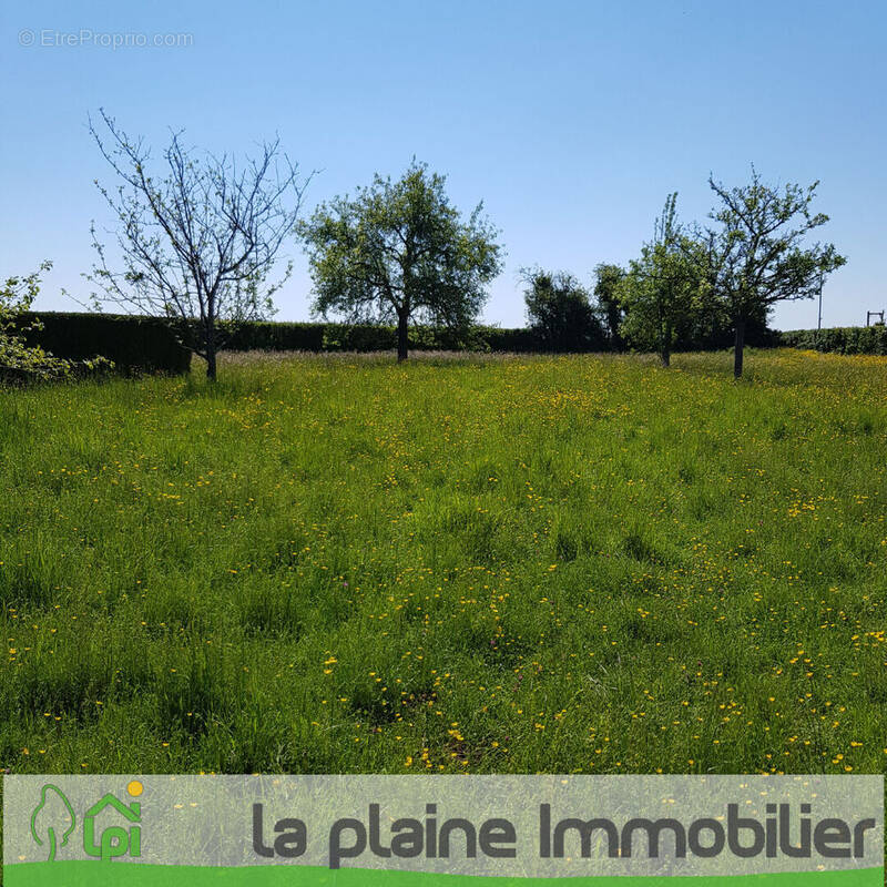Terrain à POTIGNY