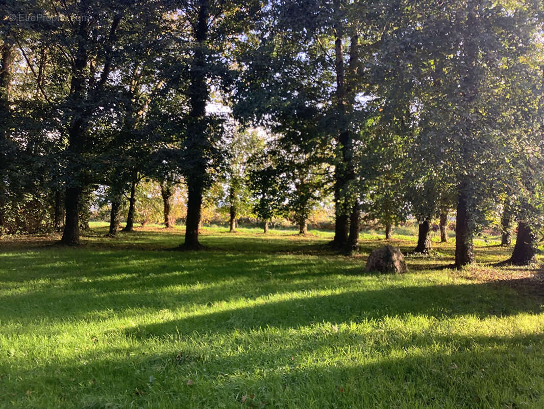 Maison à LA PRENESSAYE