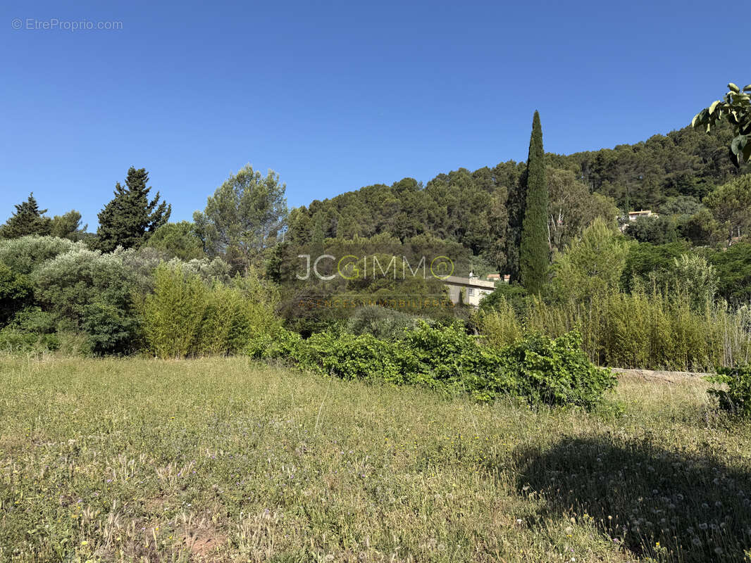 Terrain à SOLLIES-PONT