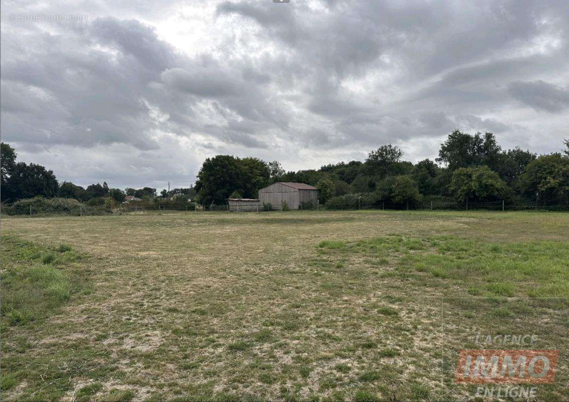 Haras / Equestre - photo 14