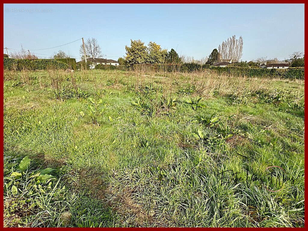 Terrain à LANGON