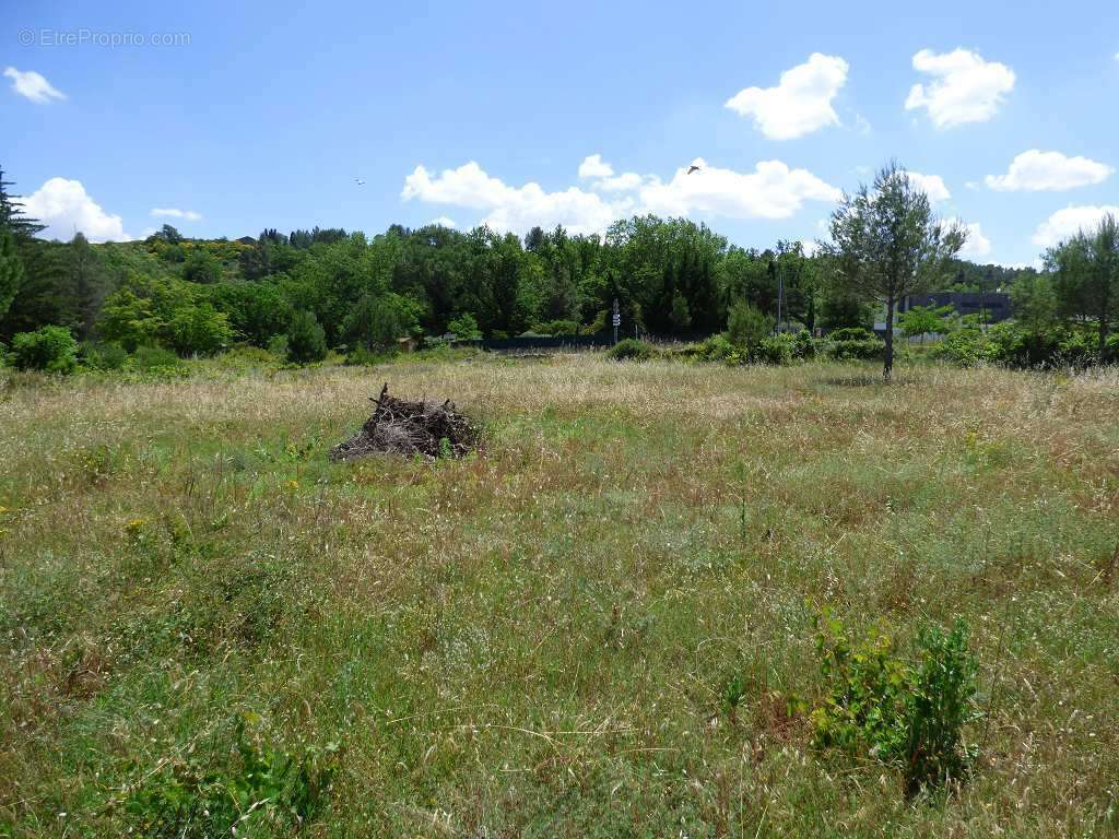 Terrain à CLERMONT-L&#039;HERAULT