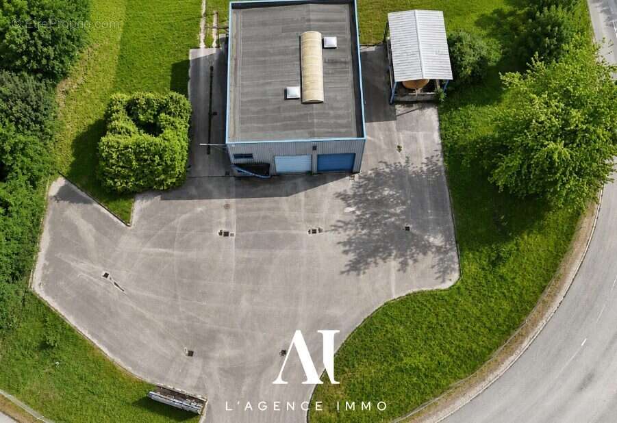 Commerce 300 m² à Lancrans  - photo 7