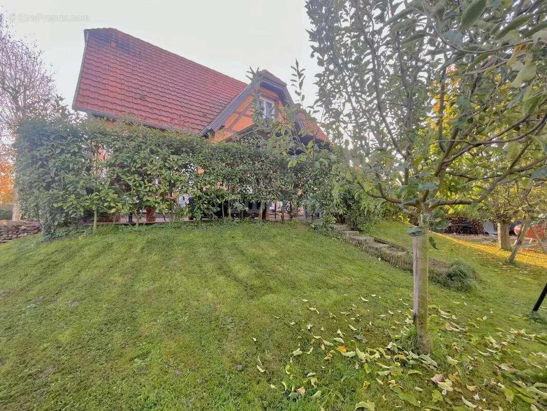 Maison à RIBEAUVILLE