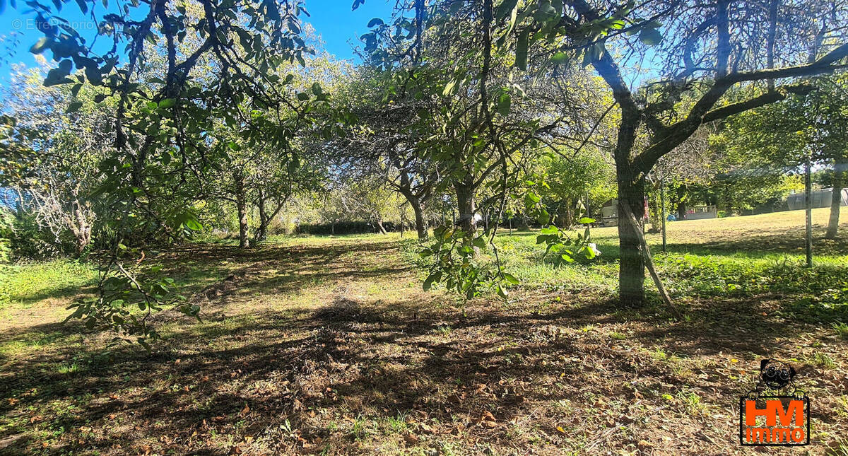 Terrain à LEMPZOURS