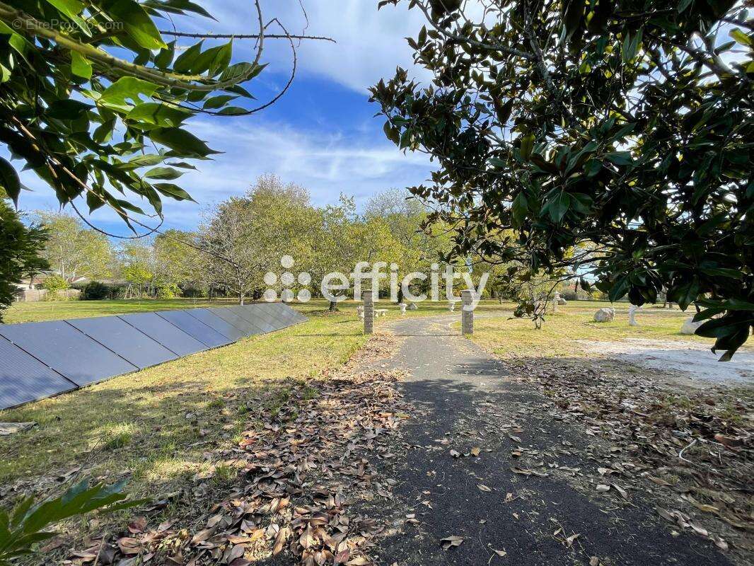 Maison à MOULIN-NEUF