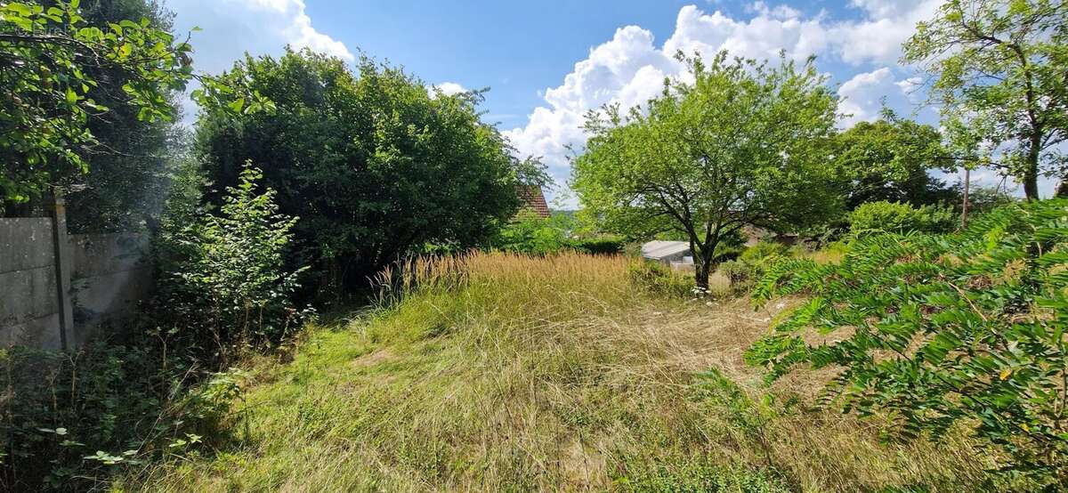 Exclusivite - champagne sur seine - photo 3