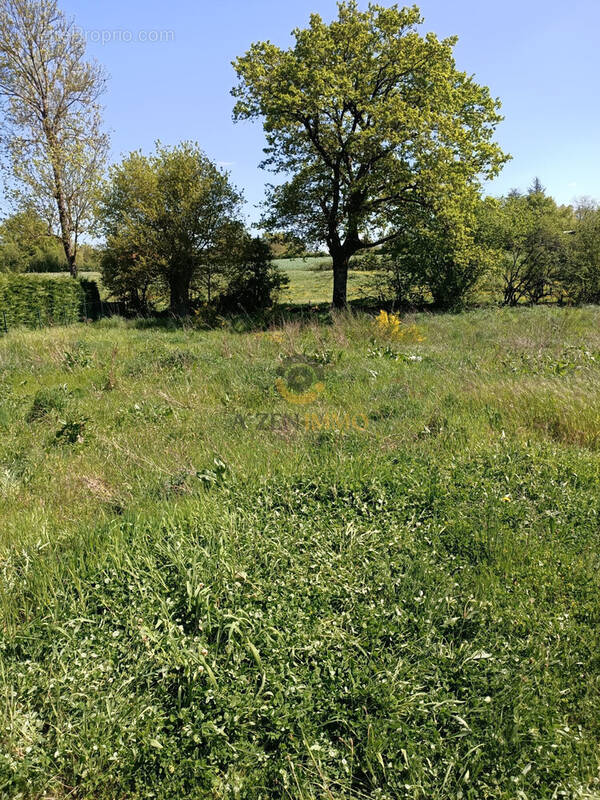 Terrain à LA CHAPELLE-BERTRAND