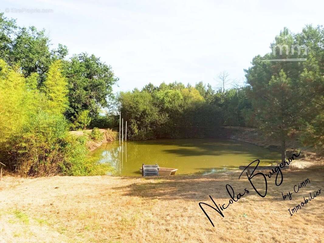 En exclusivité – Ensemble immobilier avec deux habitations, étang et près d’un hectare de terrain - photo 9
