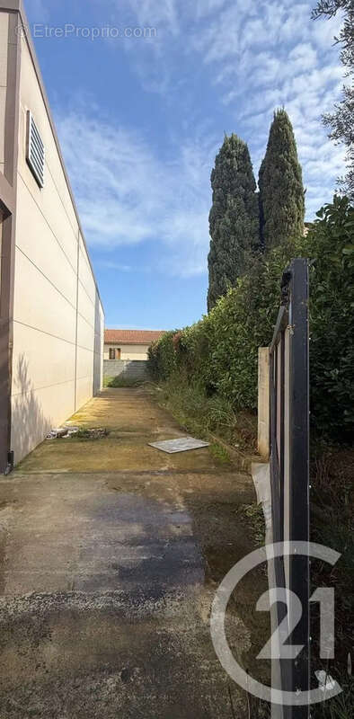 Maison 100 m² à Linguizzetta  - photo 7