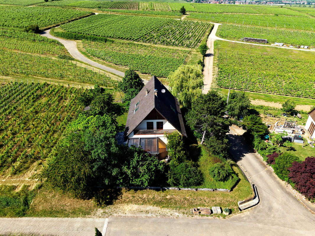 Maison - 191m2 - 6 chambres - Terrain 1053m2 - En limite de zone constructible en haut de Zellenberg ! - photo 4