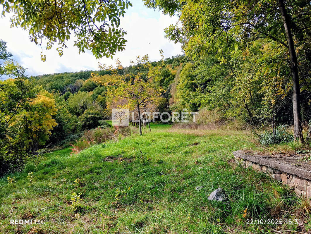 Maison à PRATS-DE-MOLLO-LA-PRESTE