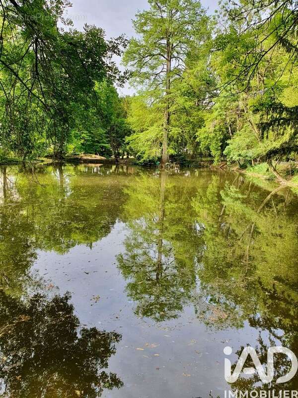 Photo 7 - Appartement à JOUE-LES-TOURS