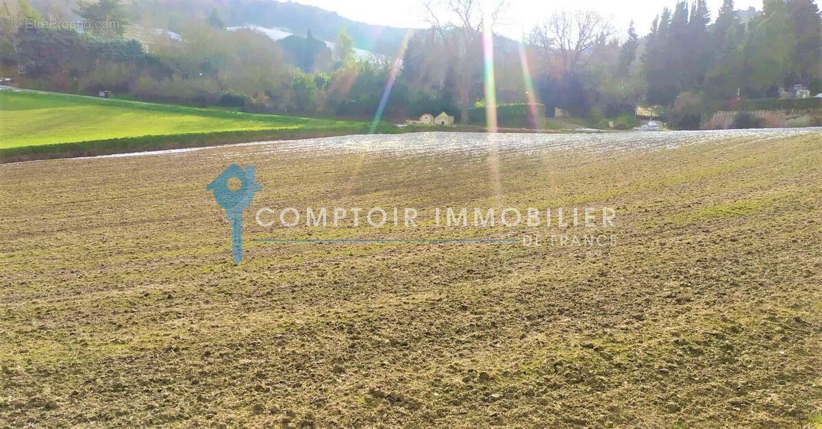 Terrain à LAURAC