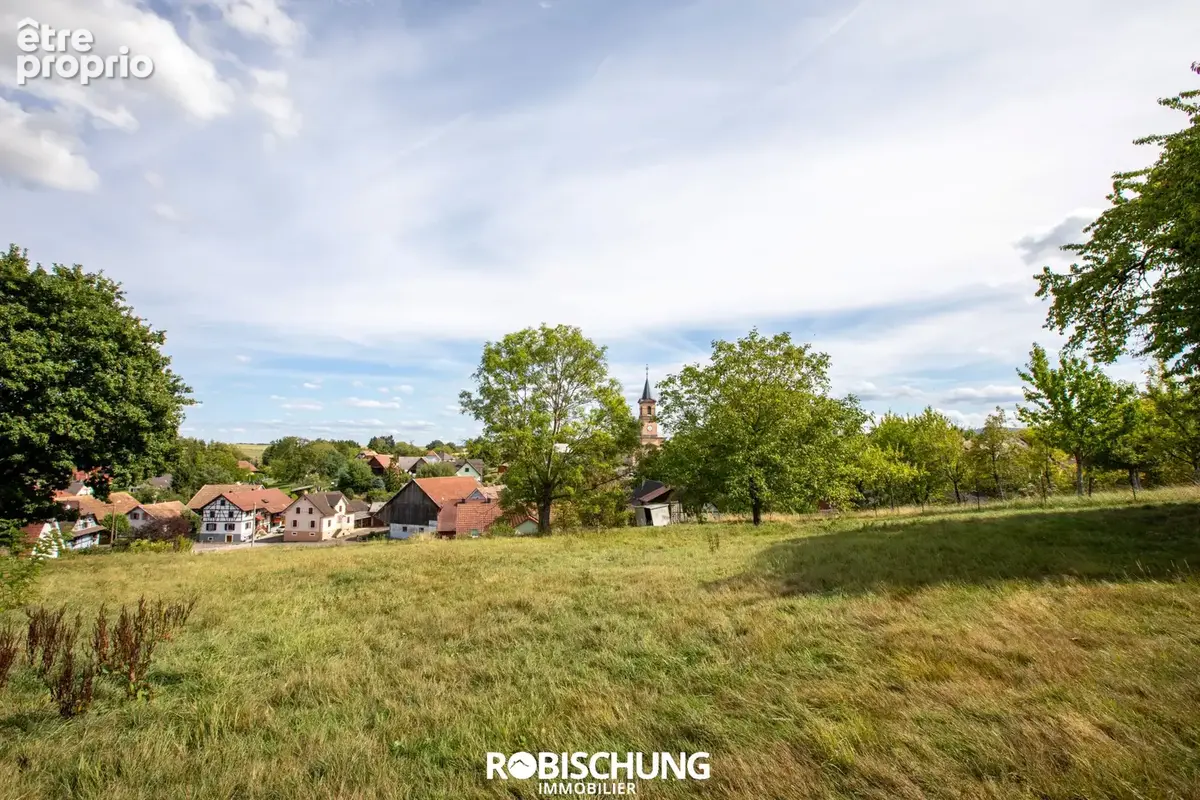 PROCHE HIRSINGUE : Magnifique ensemble immobilier avec fort potentiel locatif - photo 18