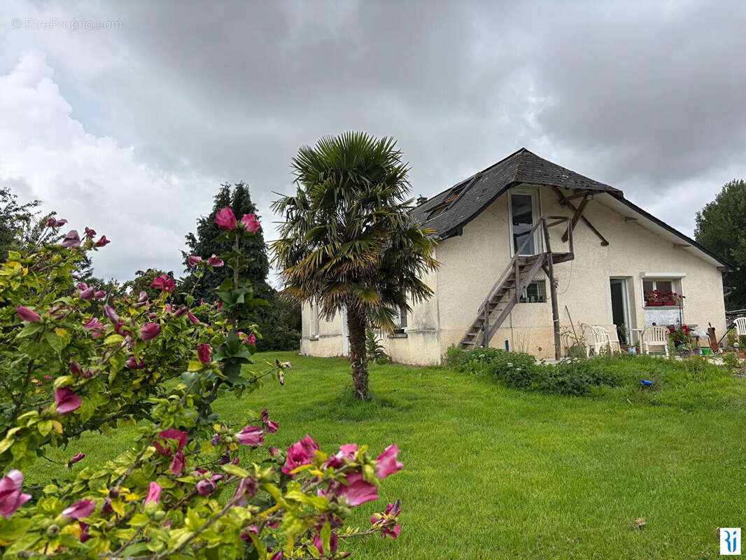 Ensemble immobilier de 2 maisons sur 4000 m² ! - photo 2