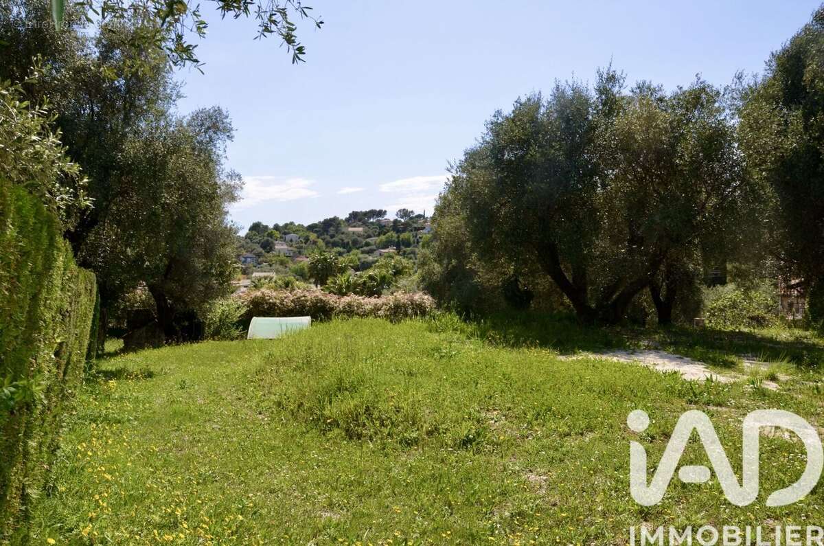 Photo 8 - Terrain à ROQUEFORT-LES-PINS