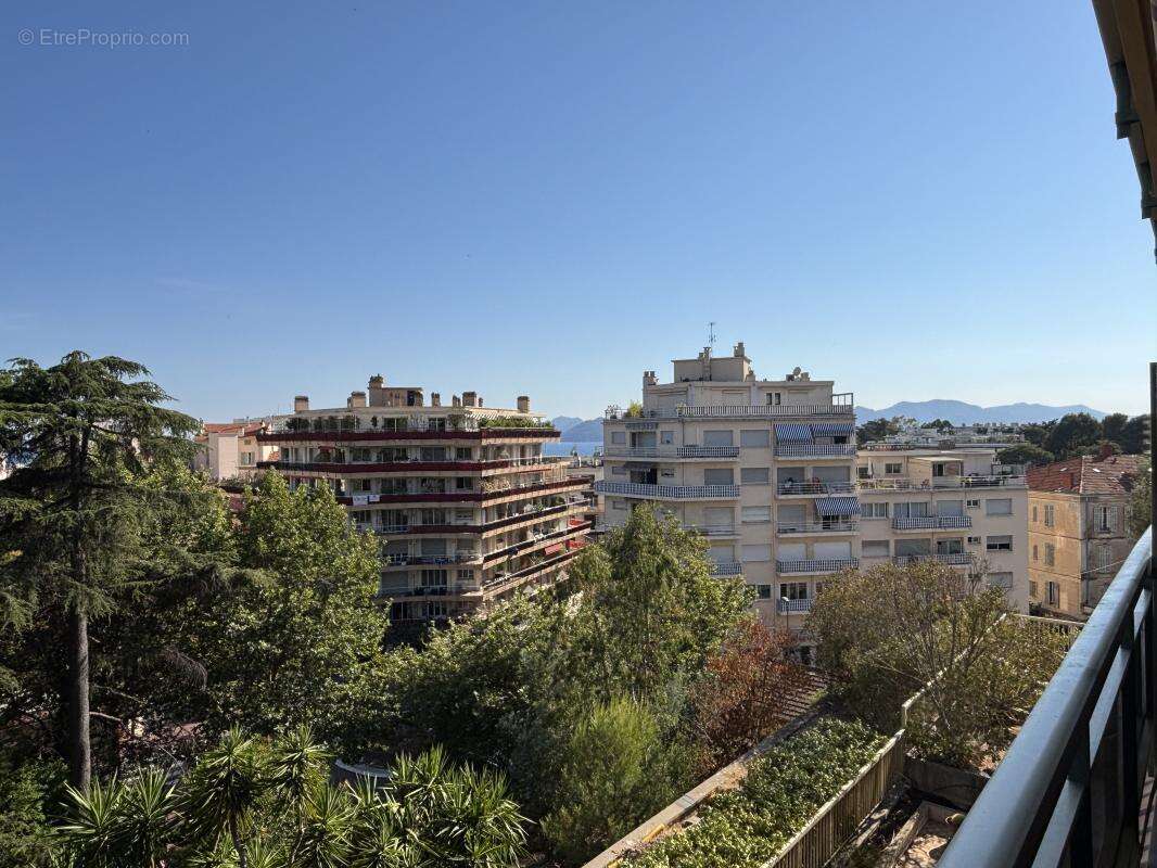 Appartement - photo 4
