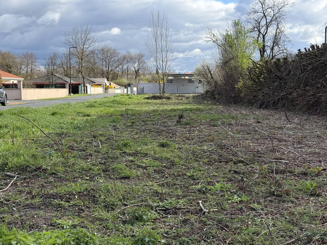 Terrain à CREUZIER-LE-NEUF