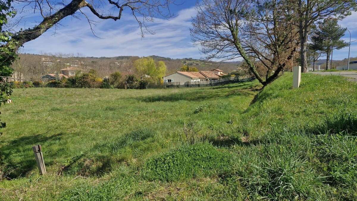 Terrain 954 m² à Castres  - photo 6