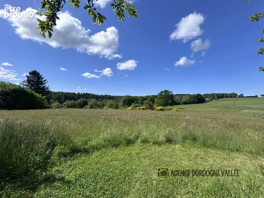 Terrain avec CU - photo 3