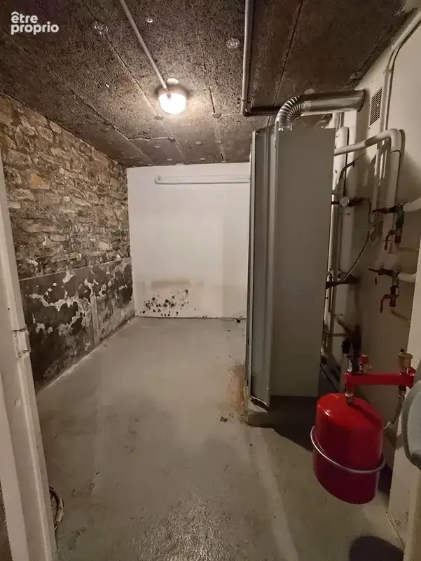 Maison 8 pièces 170 m² à vendre à Douarnenez (29100) - photo 4