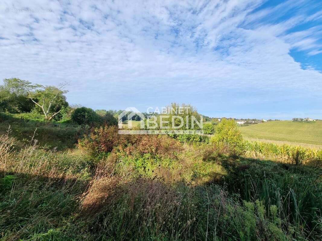 Maison à MONTFORT-EN-CHALOSSE