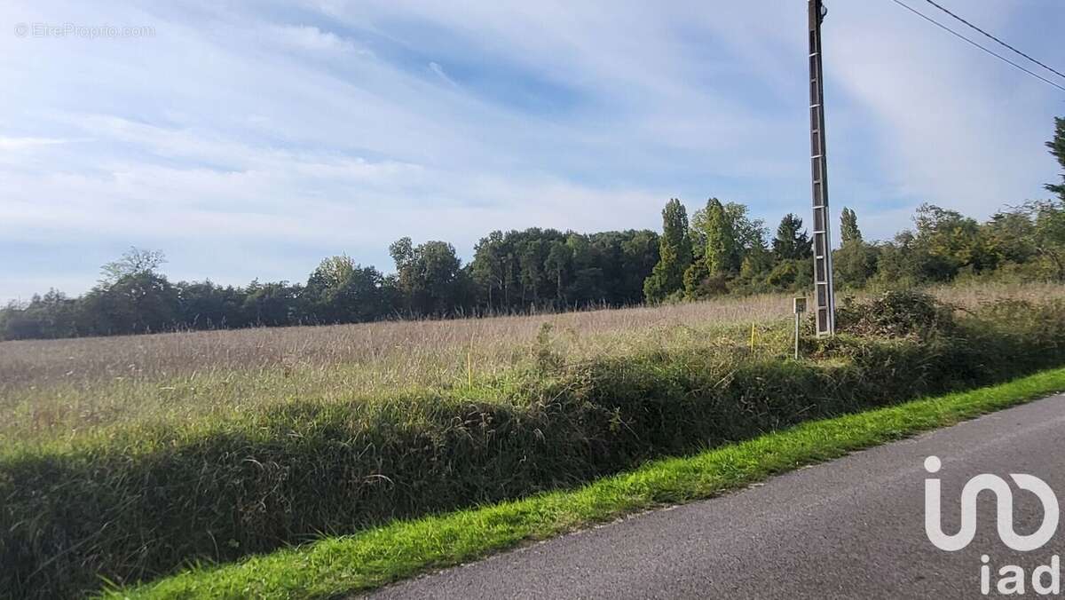 Photo 2 - Terrain à LA COUR-MARIGNY
