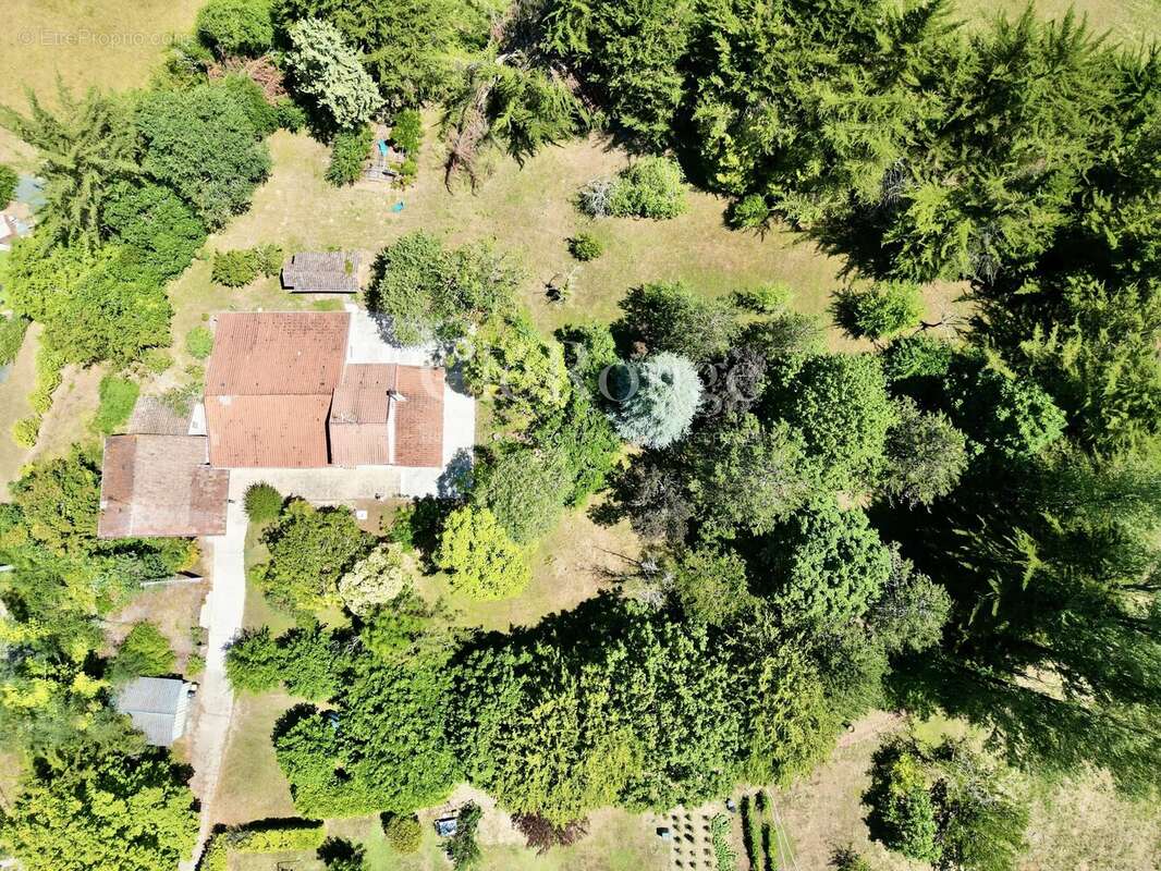 Proche de Beaupuy – Charmante maison en pierre de 3 chambres avec jardin arboré, à quelques pas d’un village - photo 26
