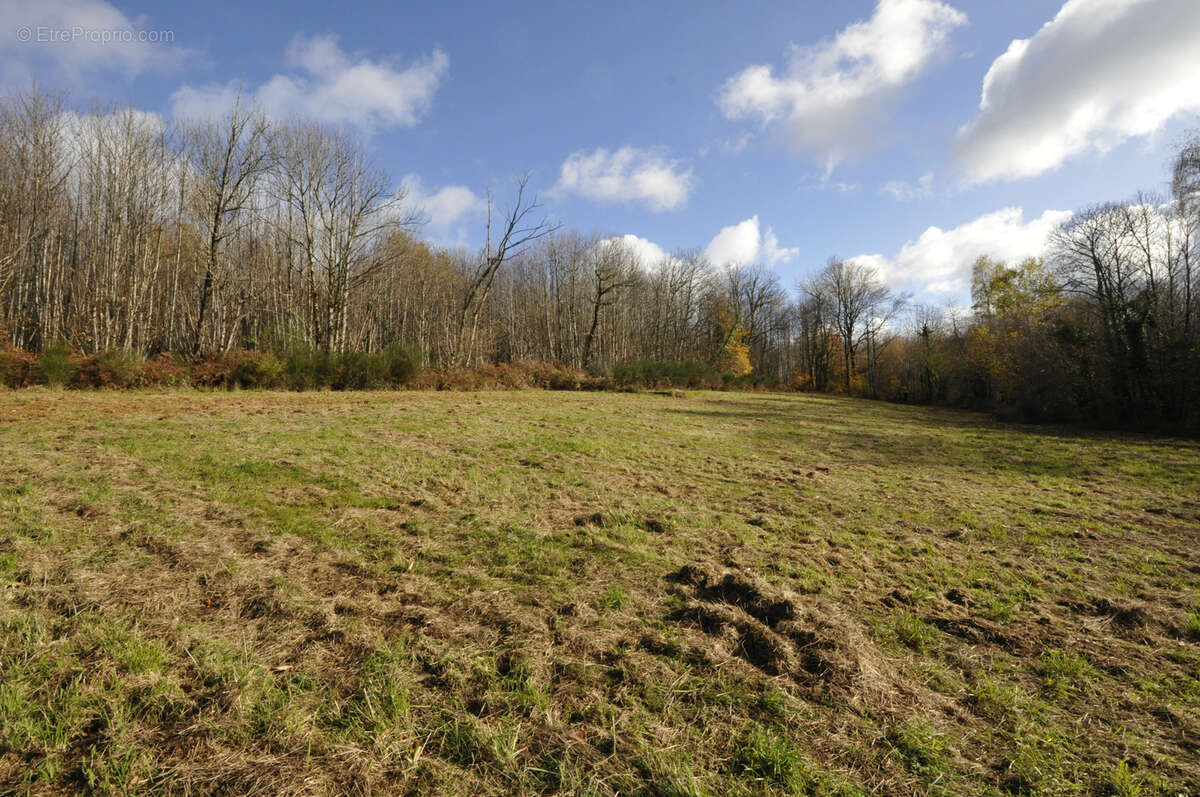 Terrain à VICQ-SUR-BREUILH