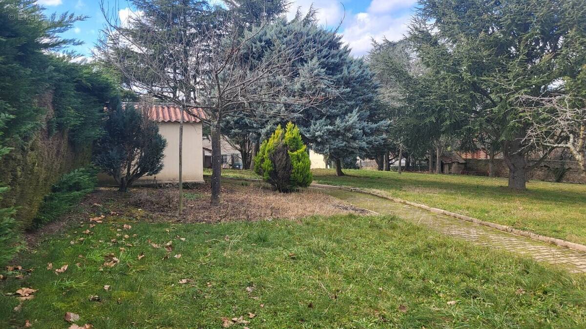 Terrain à CHATEAUNEUF