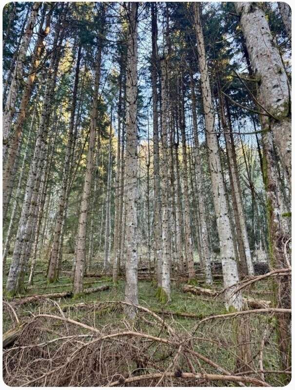 Terrain à ARACHES-LA-FRASSE