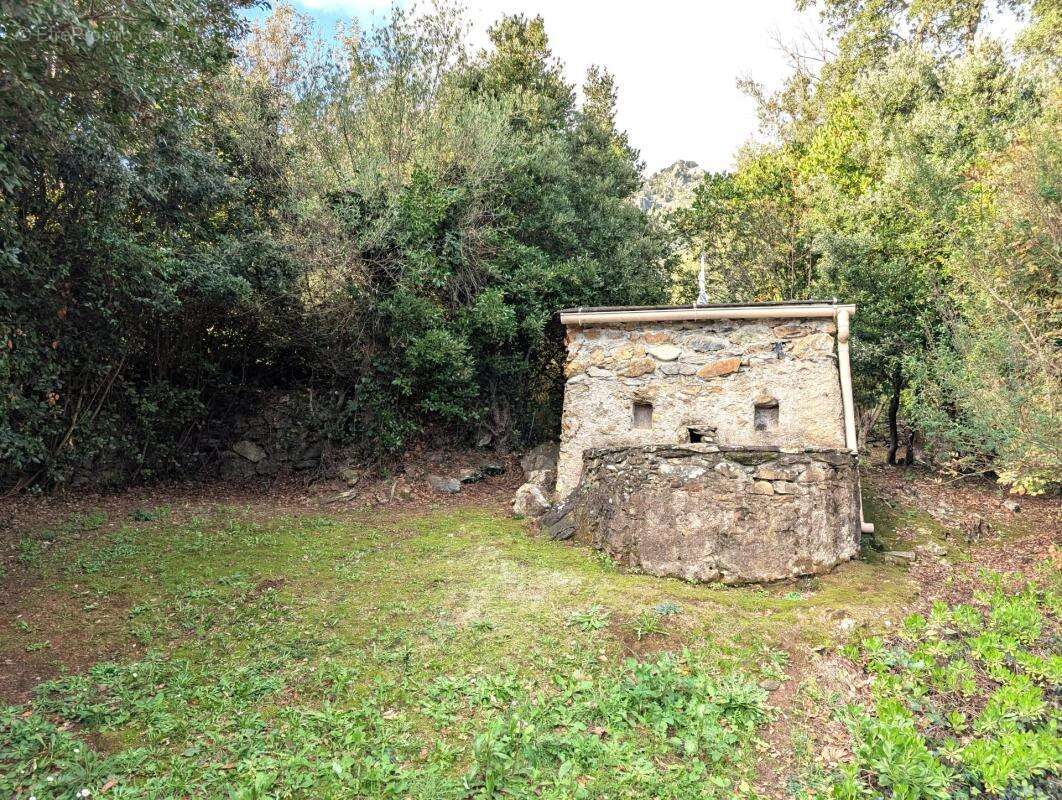 Maison à SANTA-MARIA-POGGIO