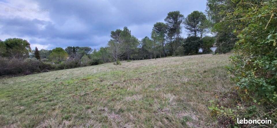 Terrain à CARCASSONNE