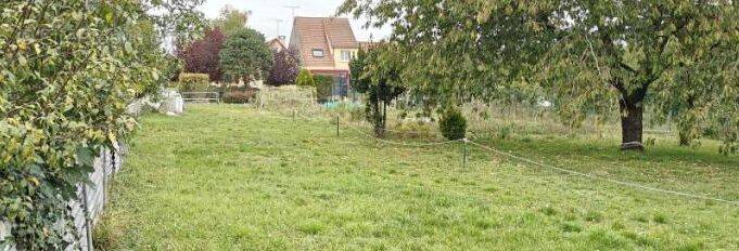 Terrain à WITRY-LES-REIMS