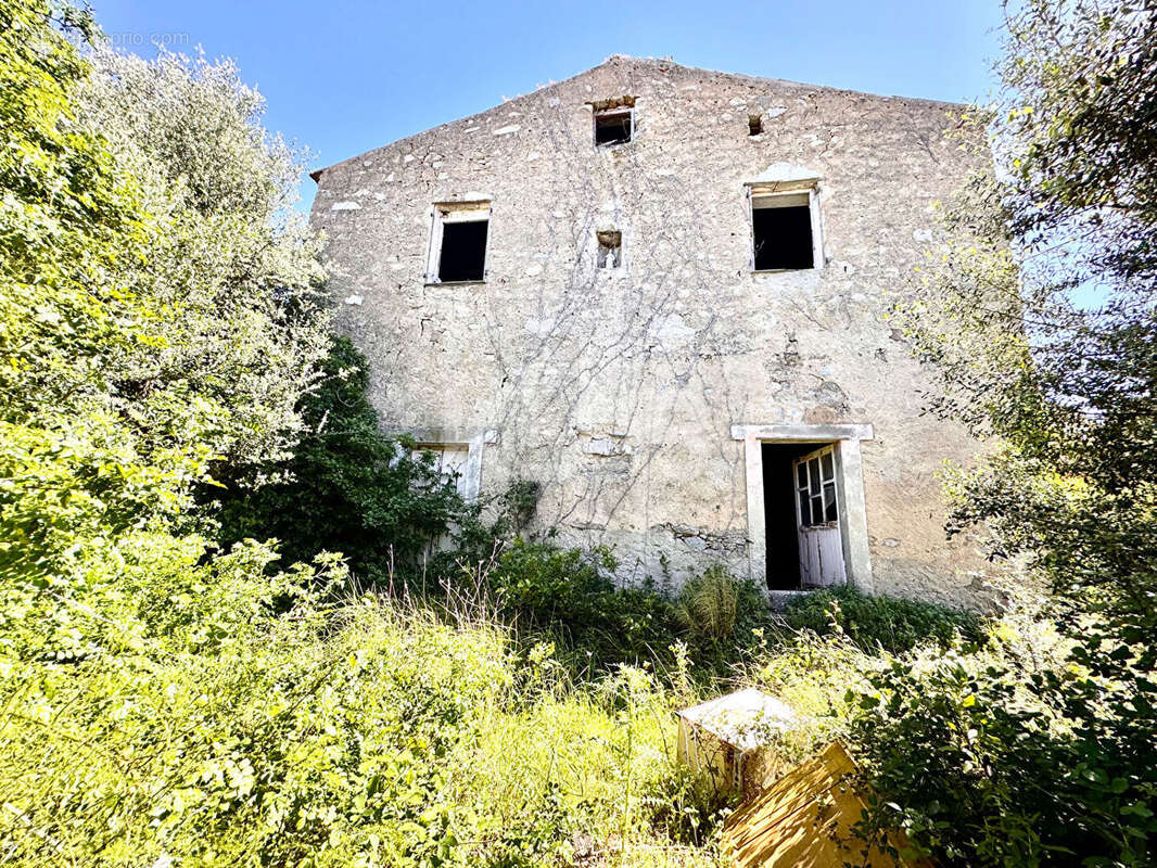 Maison à OCCHIATANA