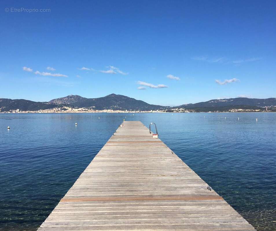 Photo 7 - Maison à PIETROSELLA