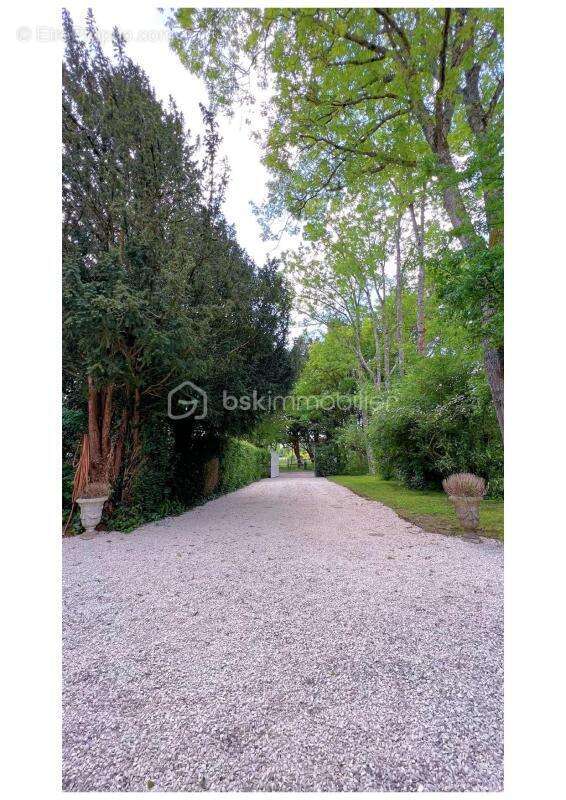Propriété et Bois - photo 8