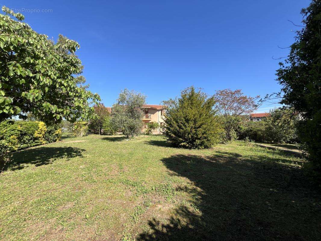 Maison à TOURNEFEUILLE